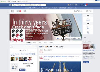 Porcellana Pagina limitata di Zhuhai Feiyang Novel Materials Corporation Facebook fornitore